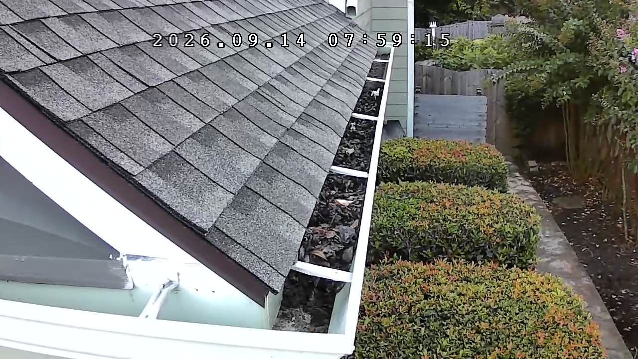 Gutter before cleaning at a residential property in Suwanee, Georgia