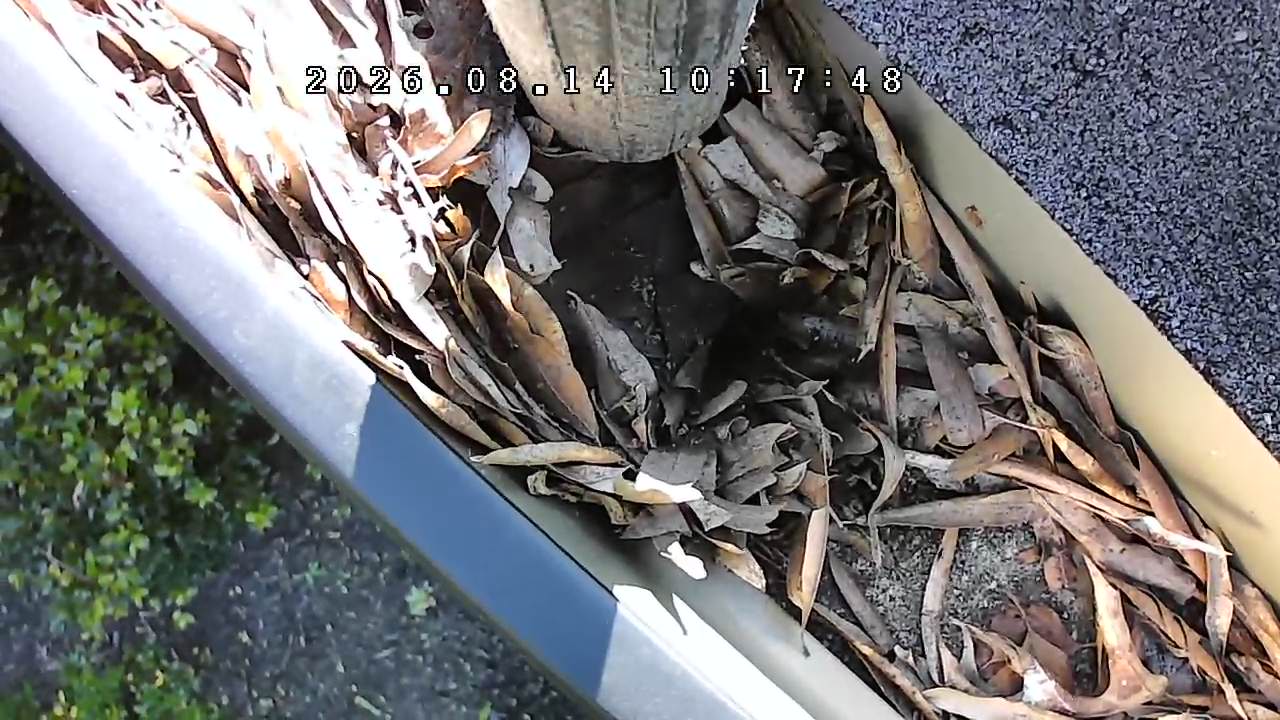 Gutter before cleaning at a residential property in Alpharetta, Georgia