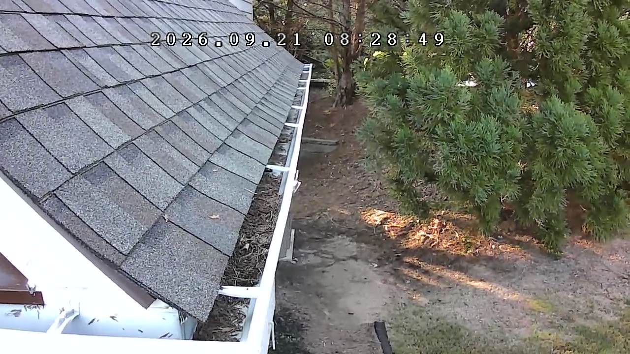 Gutter before cleaning at a residential property in Suwanee, Georgia