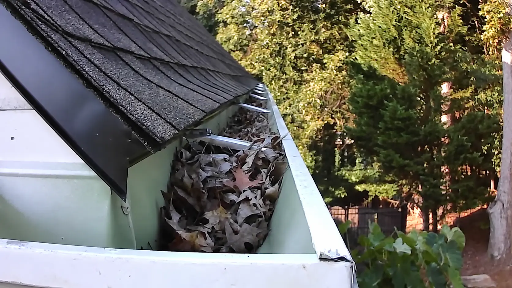 Gutter section along a dark shingle roof holding damp leaves before cleaning
