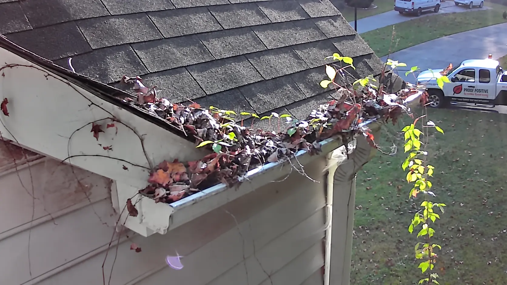 Overflowing gutter filled with wet leaves and sprouting plants, with a Proof Positive truck parked in the driveway below