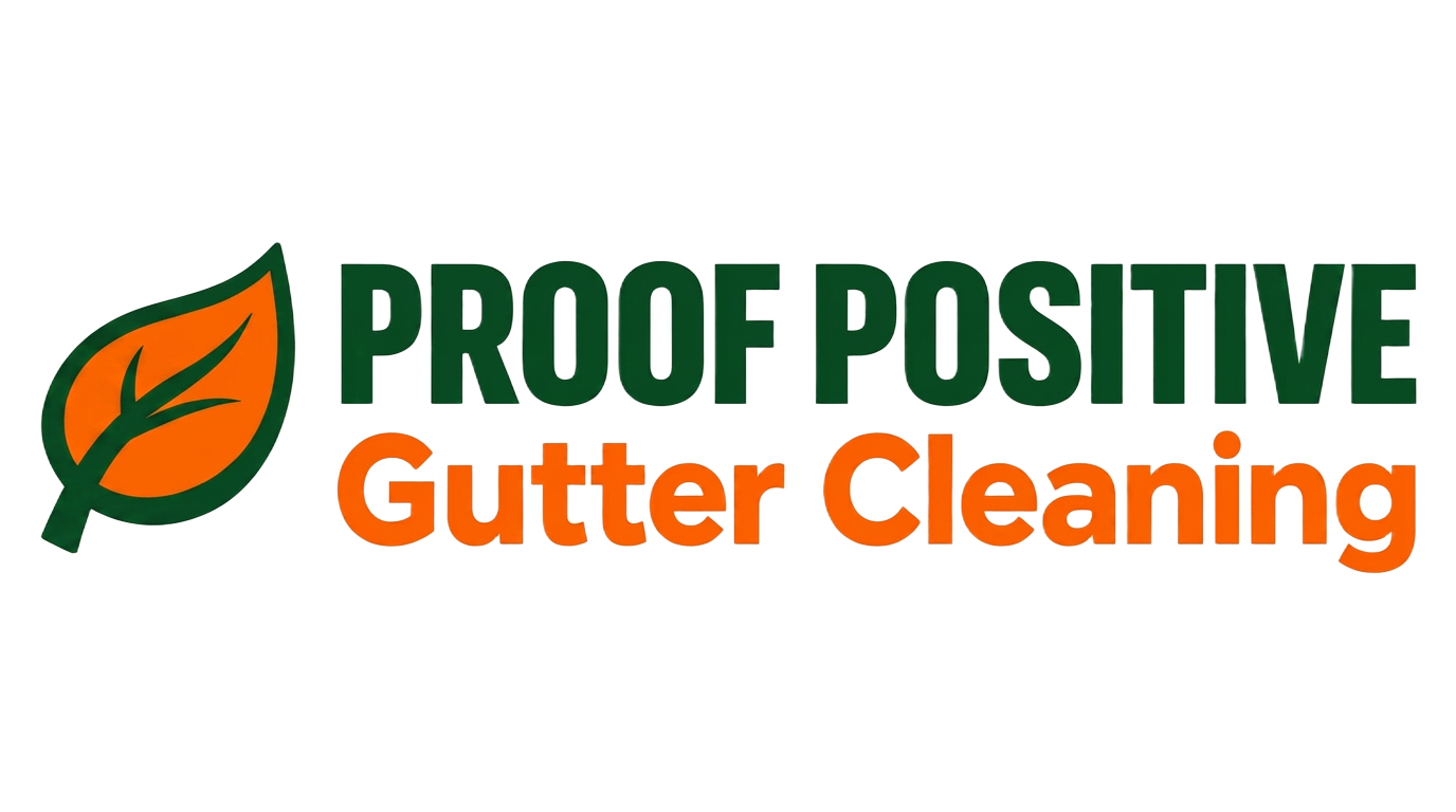Proof Positive Gutter Cleaning