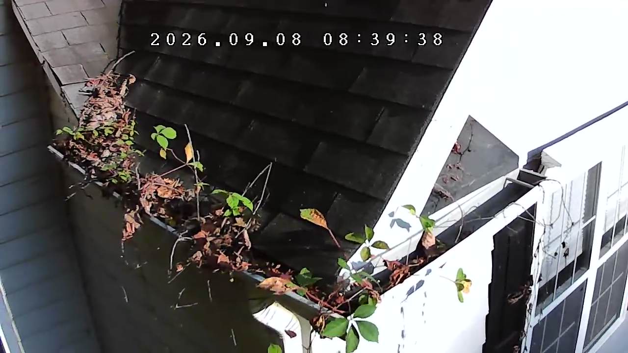 Gutter before cleaning at a residential property in Cumming, Georgia