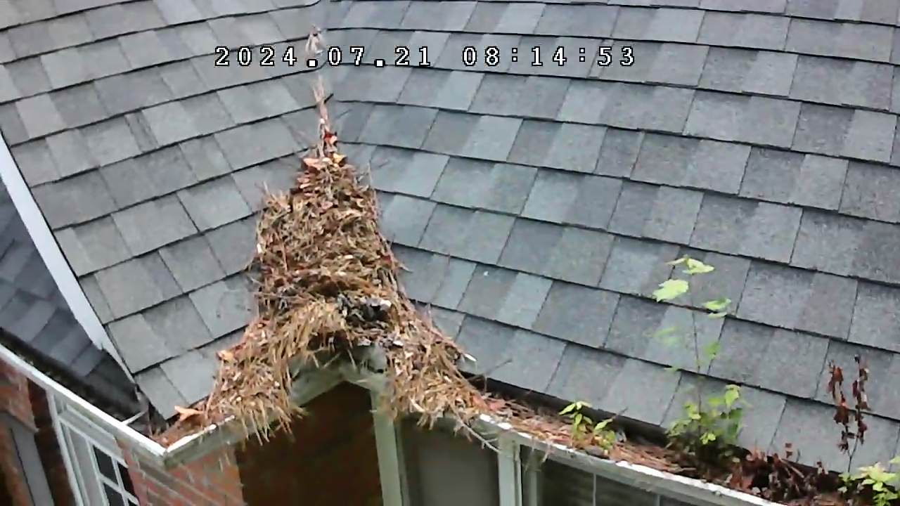 Gutter before cleaning at a residential property in Alpharetta, Georgia